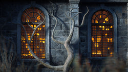 Ghost Realm