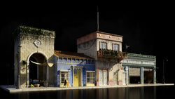 Havana Nights