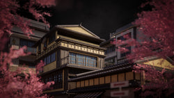 Japanese Neighborhooods