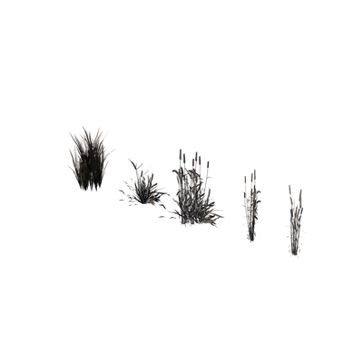 Ghost Realm
