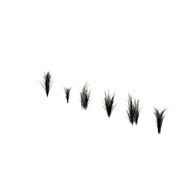 Ghost Realm