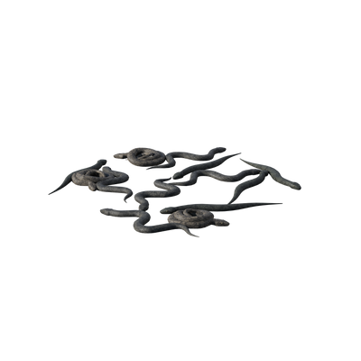 Ghost Realm
