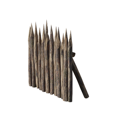 Medieval Siege