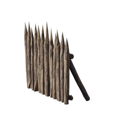 Medieval Siege