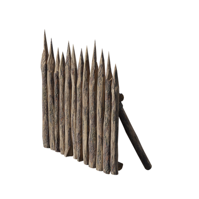 Medieval Siege