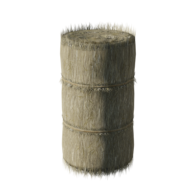 Shogun